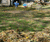 Open High Resolution file for DSC_0133.GIF
