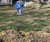 Open High Resolution file for DSC_0134.GIF