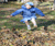 Open High Resolution file for DSC_0135.GIF