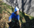 Open High Resolution file for DSC_0136.GIF