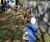 Open High Resolution file for DSC_0137.GIF