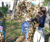 Open High Resolution file for DSC_0142.GIF