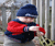 Open High Resolution file for DSC_1134.GIF