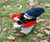 Open High Resolution file for DSC_1148.GIF