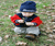 Open High Resolution file for DSC_1149.GIF