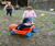 Open High Resolution file for DSC_1156.GIF