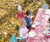 Open High Resolution file for DSC_6443.GIF